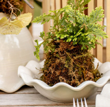 Signature White Ruffle Flare Small Bowl