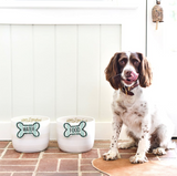 Striped Dog Bone Attachment Lifestyle