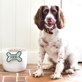 White Stripe Mini Bowl Lifestyle Pet