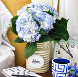 Write on Attachment on Vase