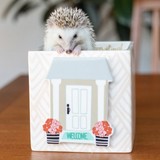 House Welcome Attachment on Nesting Cube